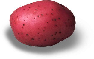 Red Potato