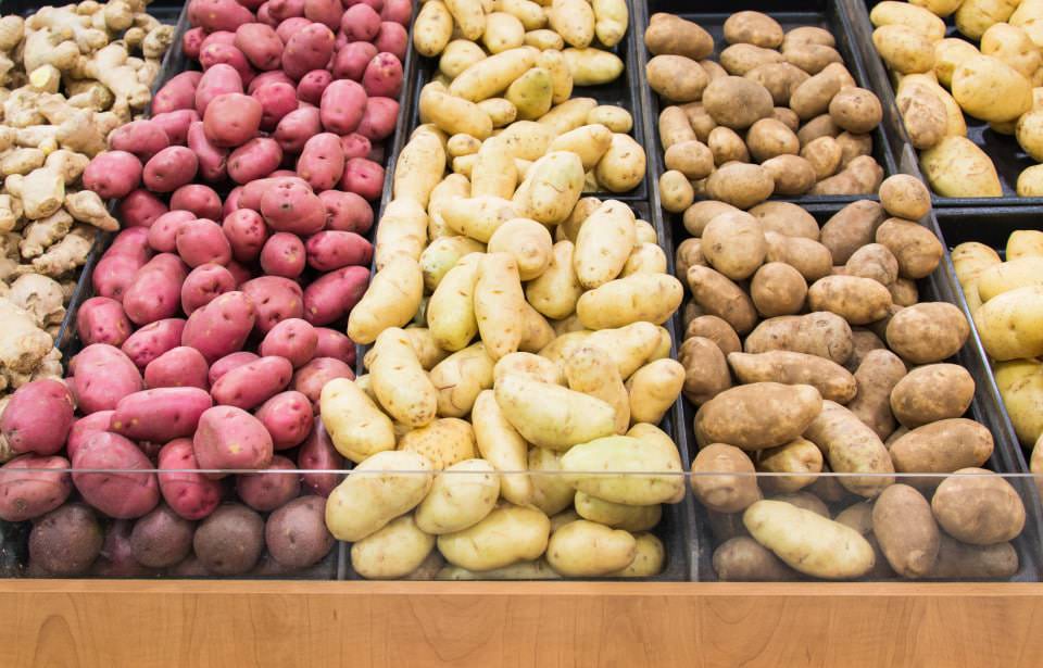 Celebrating Colorado Agriculture in San Luis Valley, CO