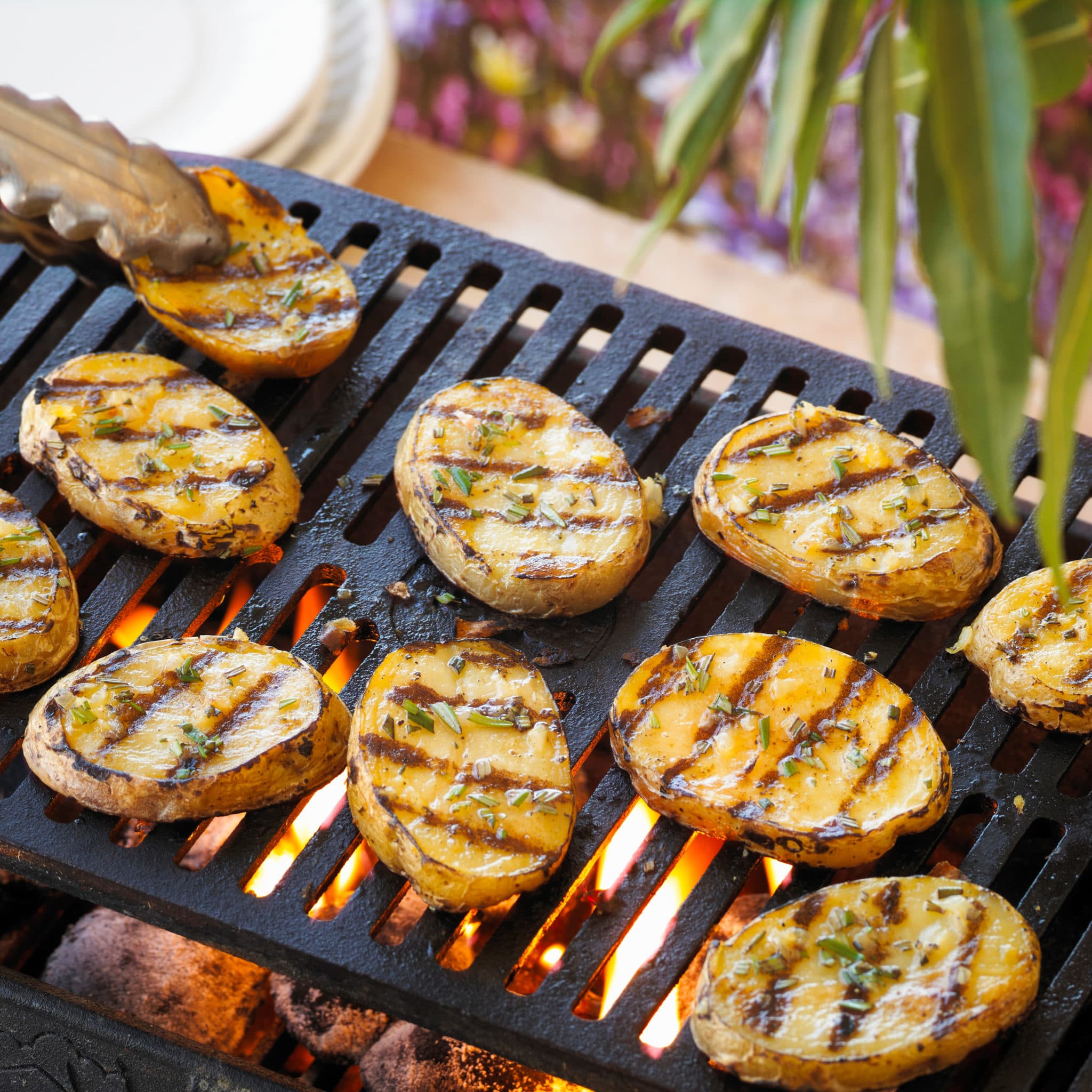 Grilled Yellow Potato Planks (1)